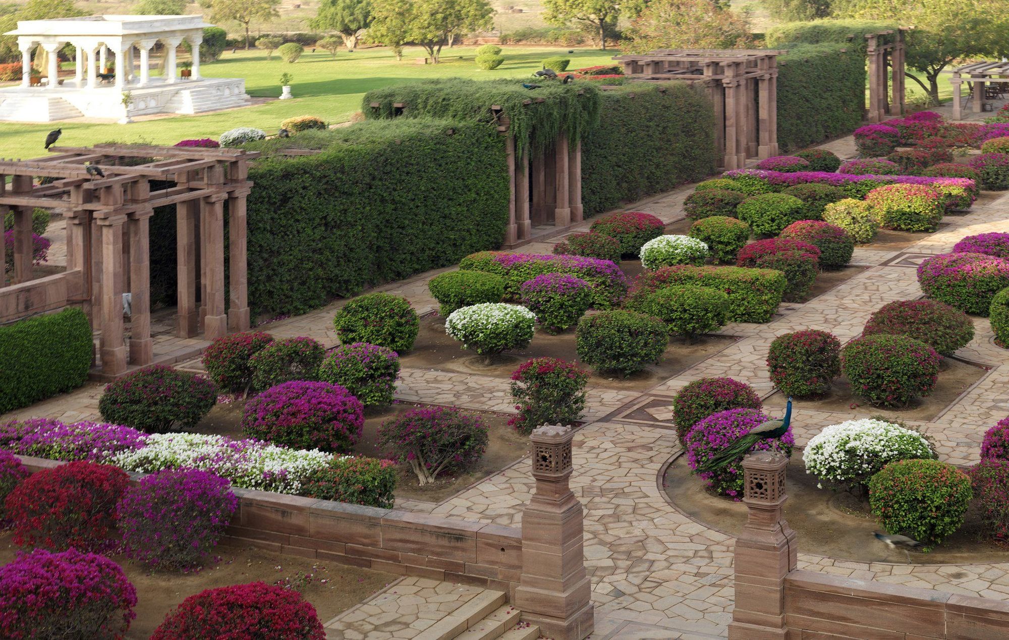 Umaid Bhawan Palace Jodhpur Jodhpur  Tiện nghi bức ảnh